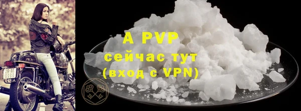 стафф Белокуриха