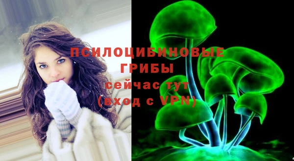стаф Россошь