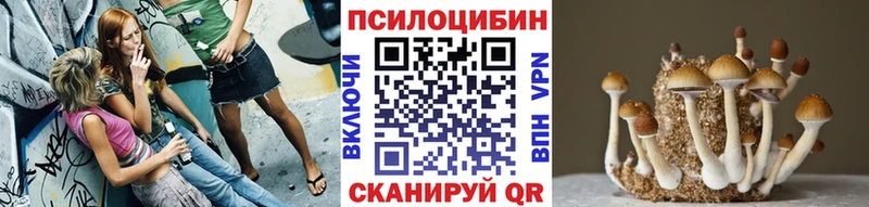 Псилоцибиновые грибы Psilocybine cubensis  Горячий Ключ 